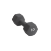 Abilica Dumbbell 10 Kg 374284 Stadion 1