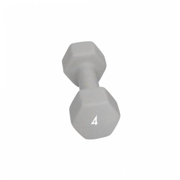 Abilica Dumbbell 4 Kg 374278 Stadion 1