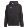 Adidas Ent22 Aw Jkty IK4014 Stadion 1