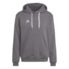 Adidas Ent22 Hoody HB0578 Stadion 1