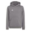 Adidas Ent22 Hoody Y H57515 Stadion 1