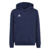 Adidas Ent22 Hoody Y H57517 Stadion 1