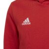 Adidas Ent22 Hoody Y H57566 Stadion 5