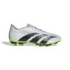 Adidas Predator Accuracy.4 Fxg GZ0013 Stadion 1