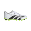 Adidas Predator Accuracy.4 Fxg J IE9434 Stadion 1