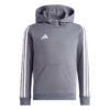 Adidas Tiro23l Swhoody HZ3016 Stadion 1