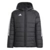 Adidas Tiro24 Wintjkty IP6670 Stadion 1