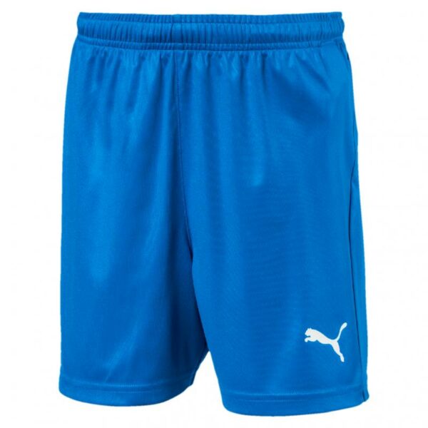 Puma Liga Shorts Core W Brief Jr 703616 Stadion 1