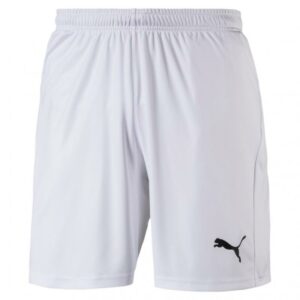 Puma Liga Shorts Core With Brief 703615 Stadion 1