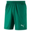 Puma Liga Shorts Core With Brief 703615 Stadion 1