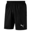 Puma Liga Shorts Core With Brief 703615 Stadion 1