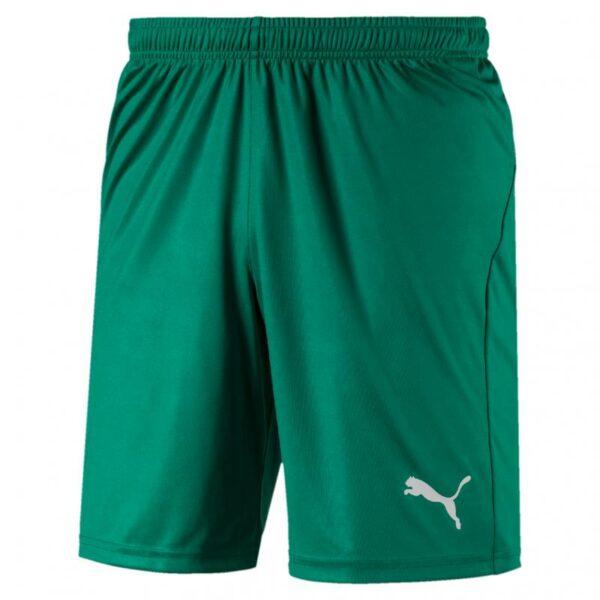 Puma Liga Shorts Core With Brief 703615 Stadion 1