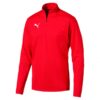 Puma Liga Training 1-4 Zip Top 655606 Stadion 1