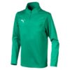 Puma Liga Training 1-4 Zip Top Jr 655646 Stadion 1