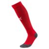 Puma Team Liga Socks Core 703441 Stadion 2