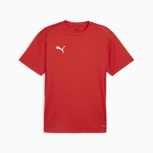 Puma Teamgoal Jersey 658636 Stadion 1