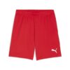 Puma Teamgoal Shorts 705752 Stadion 1