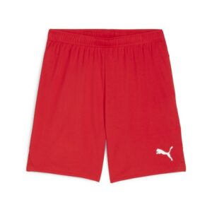 Puma Teamgoal Shorts