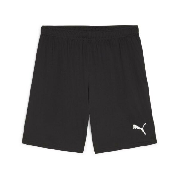 Puma Teamgoal Shorts 705752 Stadion 1