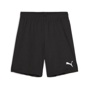 Puma Teamgoal Shorts Jr