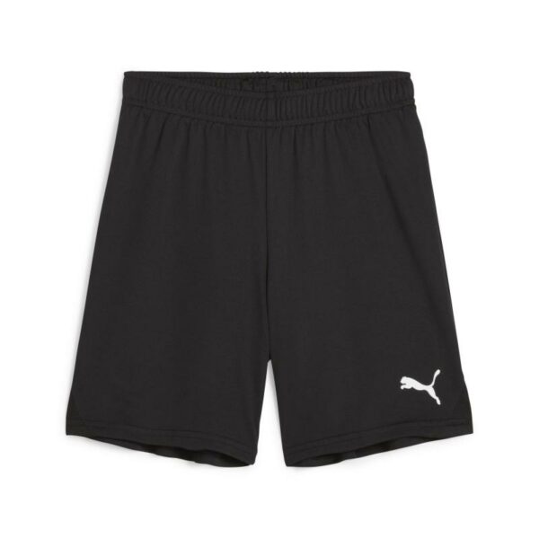 Puma Teamgoal Shorts Jr 705753 Stadion 1