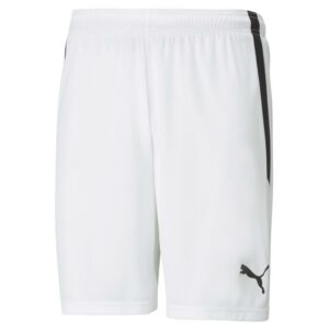 Puma Teamliga Shorts 704924 Stadion 1