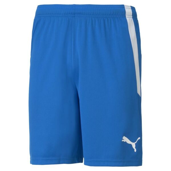 Puma Teamliga Shorts Jr 704931 Stadion 1