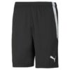 Puma Teamliga Shorts Jr 704931 Stadion 1