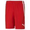 Puma Teamliga Shorts Jr 704931 Stadion 1