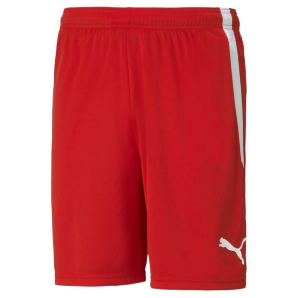 Puma Teamliga Shorts Jr 704931 Stadion 1