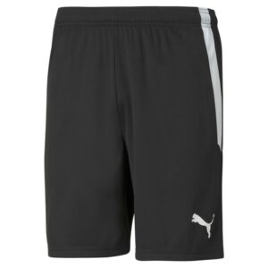 Puma Teamliga Shorts Jr 704931 Stadion 1