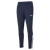 Puma Teamliga Training Pants Jr 657243 Stadion 1