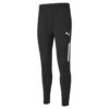 Puma Teamliga Training Pants Pro Jr 657335 Stadion 2