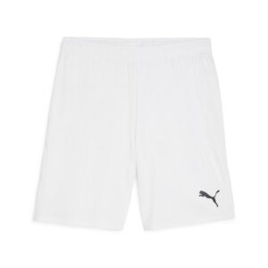 Puma Teamgoal Shorts